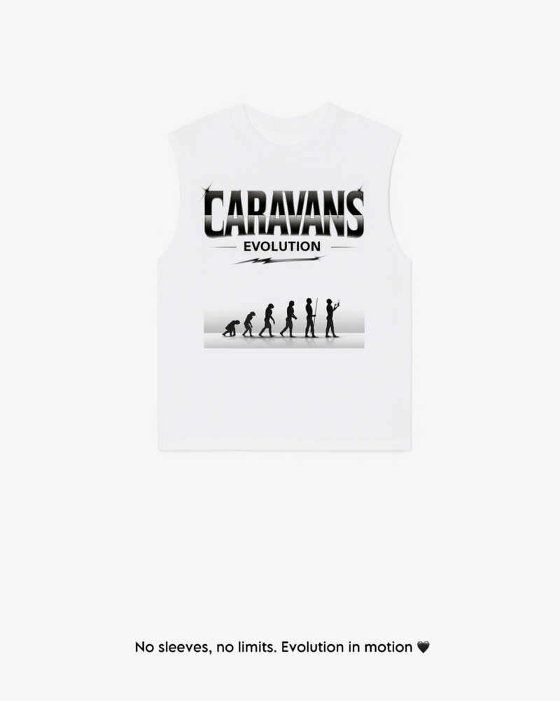 Caravans Evolution Armless
